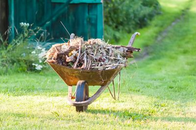 Yard cleanup and hauling in Columbus Ohio